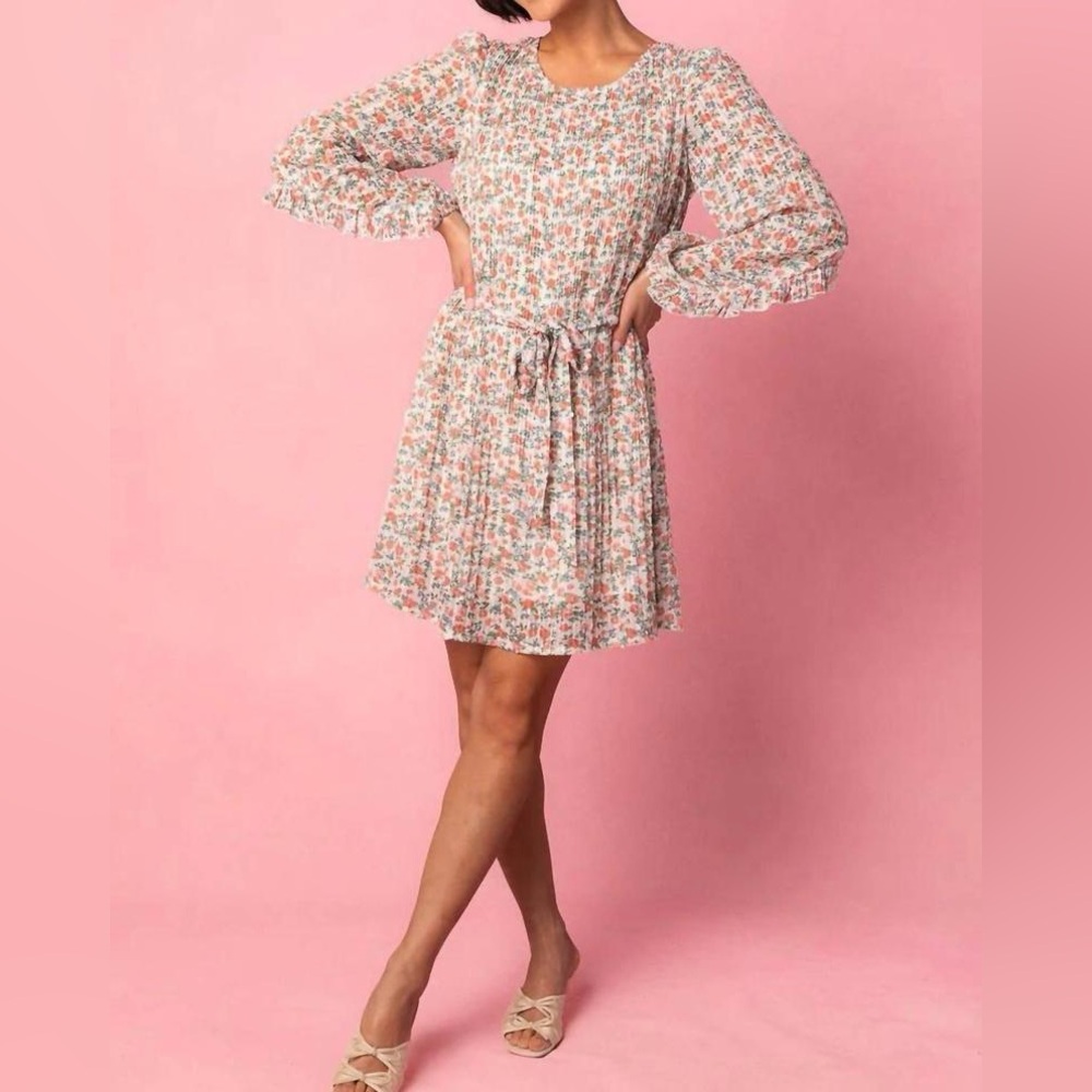Ivy City Co Chloe Dress
